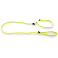 Produktbild von Martin Sellier Schleppleine für Hunde aus Nylon in Grün 180 cm