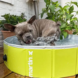 Produktbild von Martin Sellier Swimmingpool für Hunde in Grün