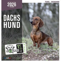 Produktbild von Martin Sellier Teckel Kalender