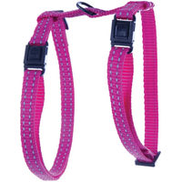 Produktbild von Martin Sellier Verstellbares Katzen-Harness aus Nylon