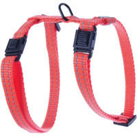 Produktbild von Martin Sellier Verstellbares Katzenharness aus Nylon