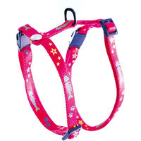Produktbild von Martin Sellier Verstellbares Katzenharness aus Nylon Fish