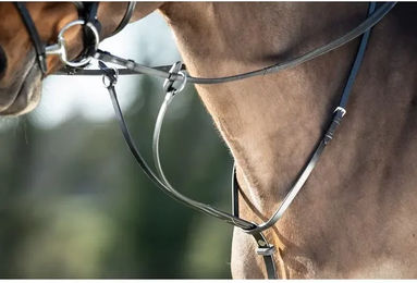 Produktbild von Martingalpfeil HFI für Ponys in Braun oder Schwarz