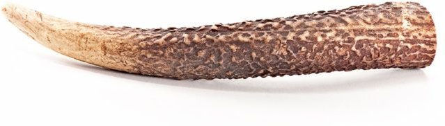Produktbild von mascota vital Hirsch-Geweihstücke Naturkauartikel für Hunde