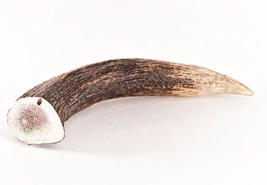 Produktbild von mascota vital Hirsch-Geweihstücke Naturkauartikel für Hunde
