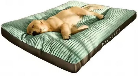 Mate for dogs Hundekissen Marley aus Polyester in Grün – Bild 1 von 5