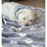 Produktbild von MATE FOR DOGS Kuscheldecke für Hunde mit Hundepfoten-Muster in Grau-Anthrazit 150x190 cm