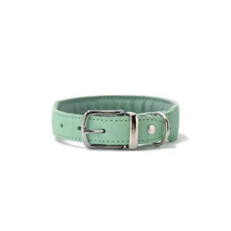 Produktbild von Maul Ledermanufaktur Leder-Halsband Mono Pop in Mint Grün Größe 60