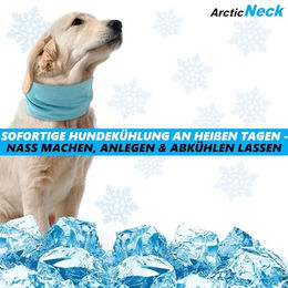 MAVURA Kühlhalsband für Hunde Blau Größe S – Bild 1 von 4