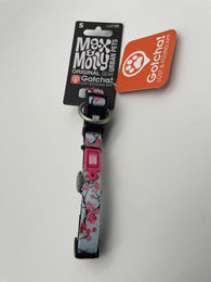 Max & Molly Gotcha! Hundehalsband mit Smart ID Cherry Bloom gepolstert wasserdicht Größe S - 1 Stk. – Bild 1 von 13