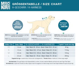 Max & Molly H-Geschirr Coffee Break XS aus Neopren hypoallergen – Bild 1 von 4