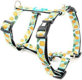 Max & Molly H-Geschirr Sweet Pineapple Hypoallergen Neopren Bunt Größe S – Bild 1 von 9