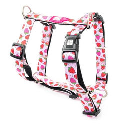 Max & Molly Hundegeschirr aus Neopren H-Form Rosa XS wasserabweisend – Bild 1 von 9