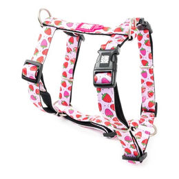 Max & Molly Hundegeschirr H-Form aus Neopren Rosa S Hypoallergen und Wasserabweisend – Bild 1 von 9