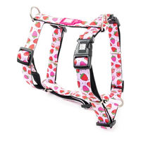 Produktbild von Max & Molly Hundegeschirr H-Form aus Neopren Rosa S Hypoallergen und Wasserabweisend