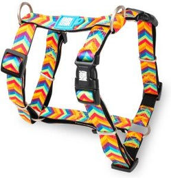 Max & Molly Hundegeschirr H-Form aus Neopren XS Bunt wasserabweisend – Bild 1 von 8