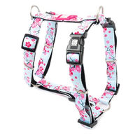 Produktbild von Max & Molly Hundegeschirr H-Form aus Neopren XS Hypoallergen Bunt