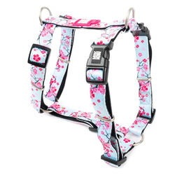 Max & Molly Hundegeschirr in H-Form aus Neopren für kleine Hunde Cherry Bloom Größe S – Bild 1 von 7