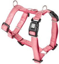 Max & Molly Hundegeschirr Matrix 2.0 H-Geschirr Rosa Größe S mit Neopren Polsterung und reflektierenden Nähten – Bild 1 von 7