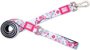 Max & Molly Kurzleine Cherry Bloom aus Neopren in L bunt – Bild 1 von 3