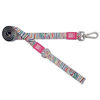 Produktbild von Max & Molly Kurzleine Magic Zebra XS für kleine Hunde aus Neopren bunt