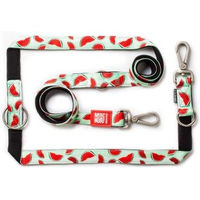 Produktbild von Max & Molly Multifunktions Hundeleine Watermelon XS mit 2m Länge und Neopren Polsterung