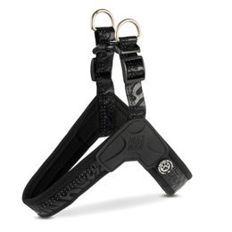 Max & Molly Norwegergeschirr für Hunde XS Schwarz Wasserabweisend und Hypoallergen – Bild 1 von 4