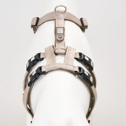 Max & Molly Sicherheitsgeschirr aus Kunstleder Beige Größe S – Bild 1 von 6