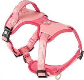 Max & Molly Sport Hundegeschirr Matrix 2.0 Rosa Größe M mit Gotcha! Smart ID Sicherheitsanhänger gepolstert und reflektierend – Bild 1 von 12