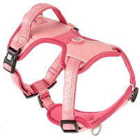 Produktbild von Max & Molly Sport Hundegeschirr Matrix 2.0 Rose S gepolstert und reflektierend mit Gotcha! Smart ID Sicherheitsanhänger für kleine Hunde