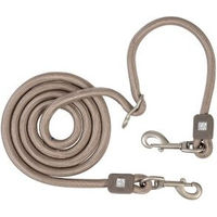 Produktbild von Max & Molly Tauleine Hund Matrix 2.0 Sand 2m aus Nylon