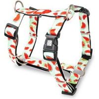 Produktbild von Max & Molly Urban Pets H-Geschirr Watermelon M aus Polyester wasserabweisend