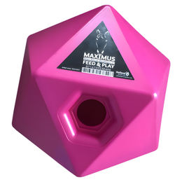 Maximus Feed & Play Snackwürfel rosa Futterspielzeug für Pferde 23,5x23,5cm – Bild 1 von 3