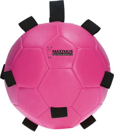 Maximus Fun Play Ball für Pferde Rosa mit Schlaufe und Pumpe aus Gummi 19cm – Bild 1 von 4