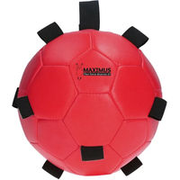 Produktbild von Maximus Fun Play Ball Futterspielball für Pferde aus Gummi mit Schlaufe rot Ø19cm