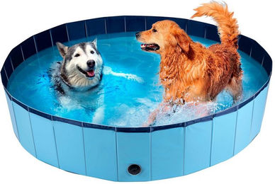 maxxpro Hundepool Outdoor-Spielzeug für große Hunde aus Kunststoff Blau 160 x 30 cm – Bild 1 von 4