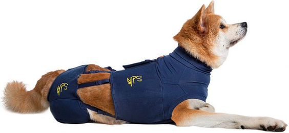Medical Pet Shirt HLS Hinterbeinschutz Blau XL – Bild 1 von 2