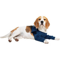 Produktbild von Medical Pet Shirt Hund Katze Blau XXXS