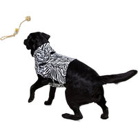 Produktbild von Medical Pet Shirt Hund Oberkörper T-Shirt Zebraprint Baumwolle XS