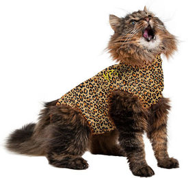 Medical Pet Shirt Katzenbekleidung Leopard Muster Größe XXXXS – Bild 1 von 2