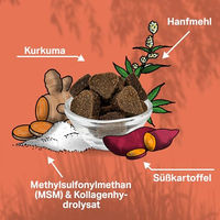 Produktbild von MEDIDOG Gelenk Aktiv Drops Hypoallergenes Gelenk-Supplement für Hunde 400 g - 400 g