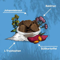 Produktbild von MEDIDOG Relax Snack Beruhigungs-Drops für Hunde mit Baldrian und L-Tryptophan, kaltgepresst und getreidefrei, 400 g - 400 g