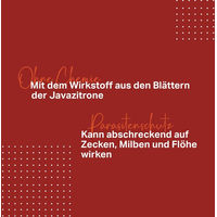 Produktbild von Medidog Spot-On für Welpen gegen Zecken, Flöhe und Milben 50 ml