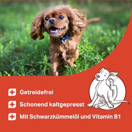 Medidog Zeggi Weggi Premium Drops für Hunde mit Lamm, getreidefrei und hypoallergen, 400 g - 400 g – Bild 1 von 3