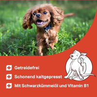 Produktbild von Medidog Zeggi Weggi Premium Drops für Hunde mit Lamm, getreidefrei und hypoallergen, 400 g - 400 g