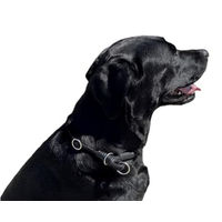 Produktbild von MediMuc Erziehungshalsband für Hunde aus Nylon in Schwarz Größe S 45cm wasserabweisend - 45 cm