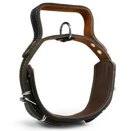 MediMuc Hundehalsband aus Leder mit Griff für mittelgroße und große Rassen 65cm x 60mm – Bild 1 von 6