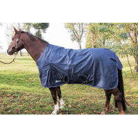 Produktbild von Megastar Light Regendecke mit Fleece Blau 165 cm