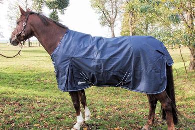 Megastar Regendecke für Pferde aus 1200 Denier Polyester Blau 145 cm – Bild 1 von 3