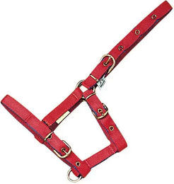 Mehis Nylon Halfter für Fohlen in Rot – Bild 1 von 1